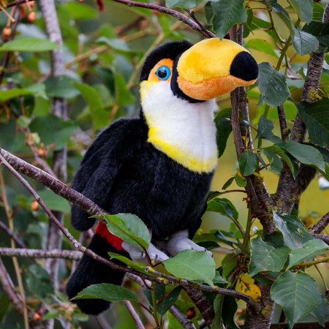 ANIMIGOS WORLD OF NATURE TOUCAN