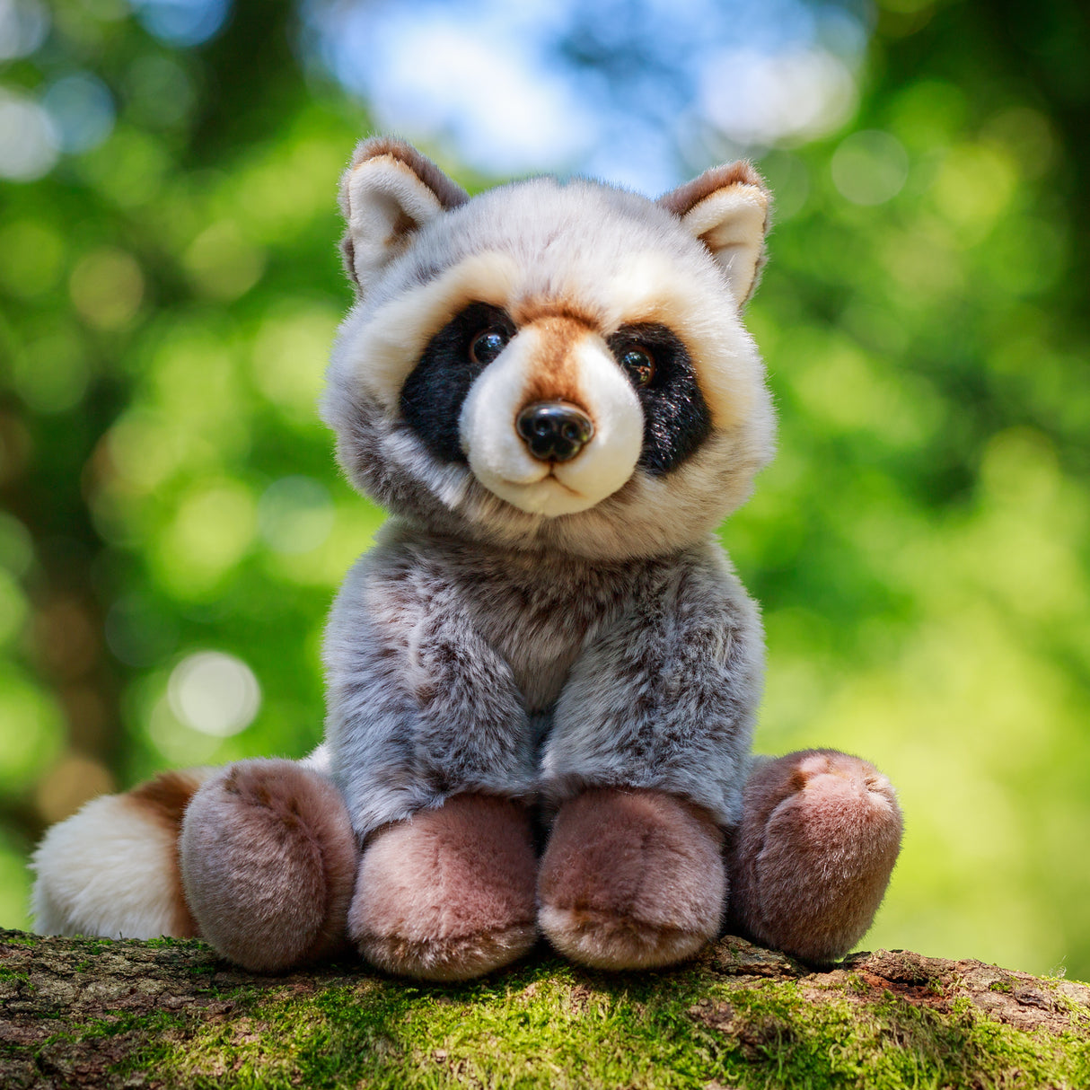 ANIMIGOS WORLD OF NATURE RACCOON