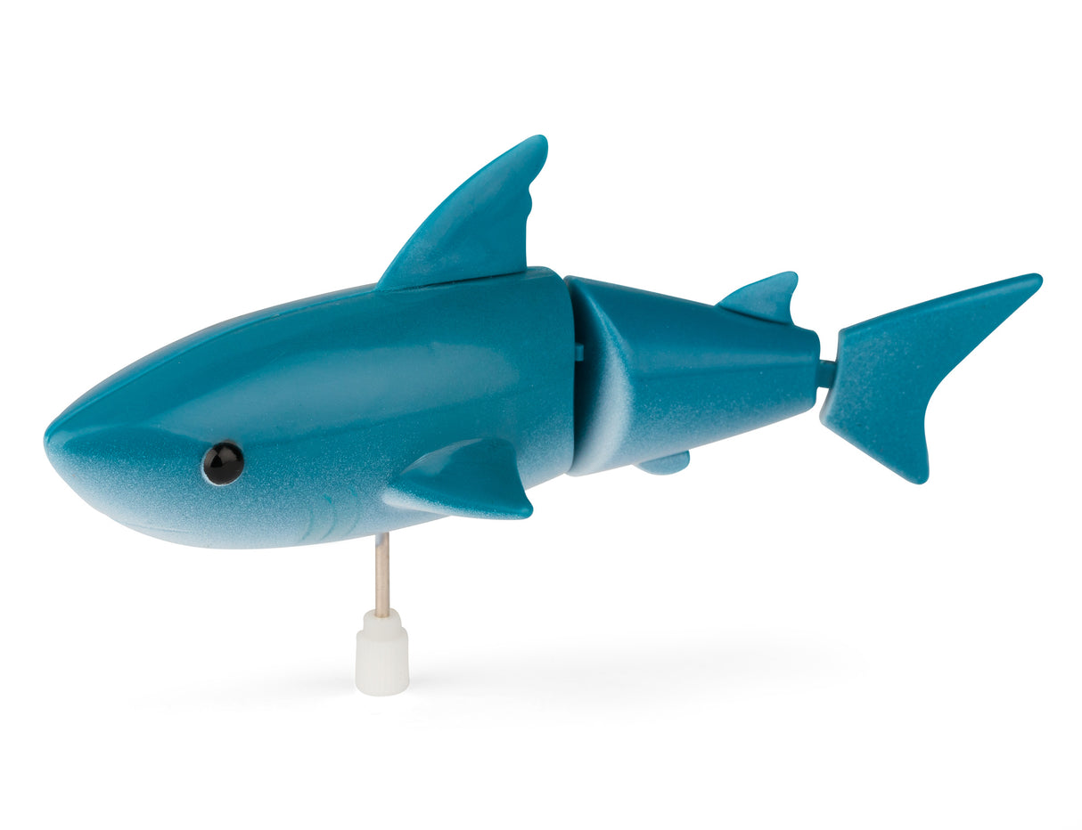 WIND UP SHARK