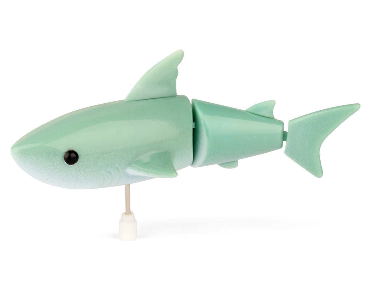 WIND UP SHARK