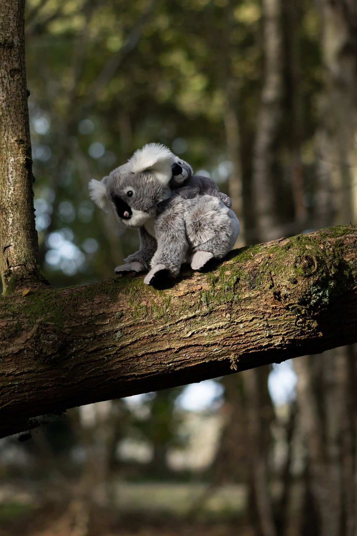 ANIMIGOS WORLD OF NATURE KOALA AND BABY