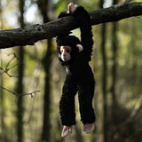 ANIMIGOS WORLD OF NATURE HANGING CHIMPANZEE