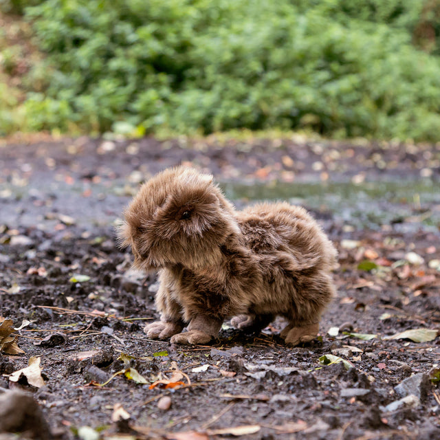 ANIMIGOS WORLD OF NATURE CAPYBARA