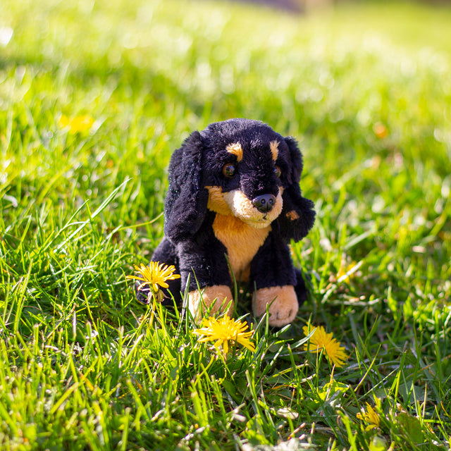 ANIMIGOS WORLD OF NATURE MINI DACSCHUND