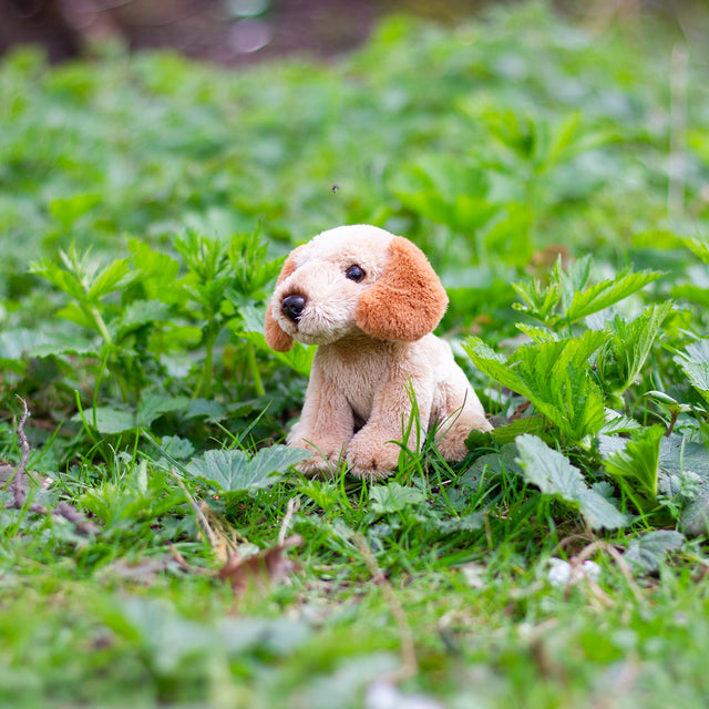 ANIMIGOS WORLD OF NATURE MINI COCKAPOO