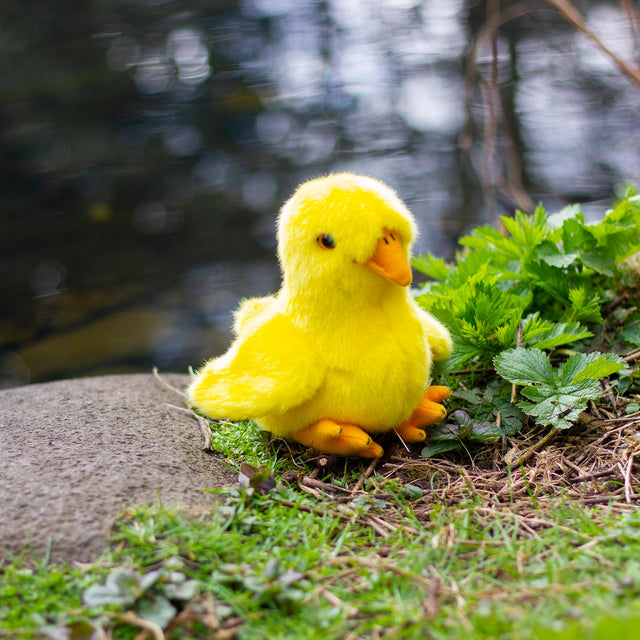 ANIMIGOS WORLD OF NATURE DUCKLING