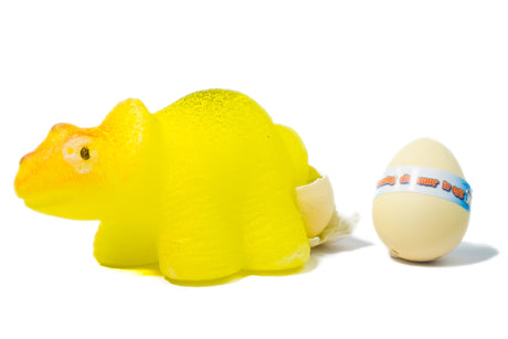 DINOSAUR GROW EGG (SMALL)