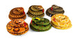 SNAKE 6 ASSORTED