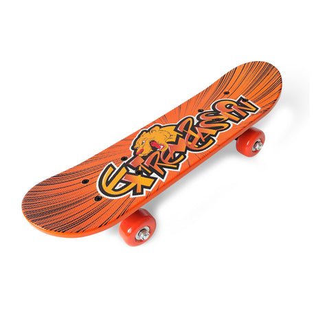 PLASTIC SKATEBOARD 17 INCH MIRROR GRAPHIC