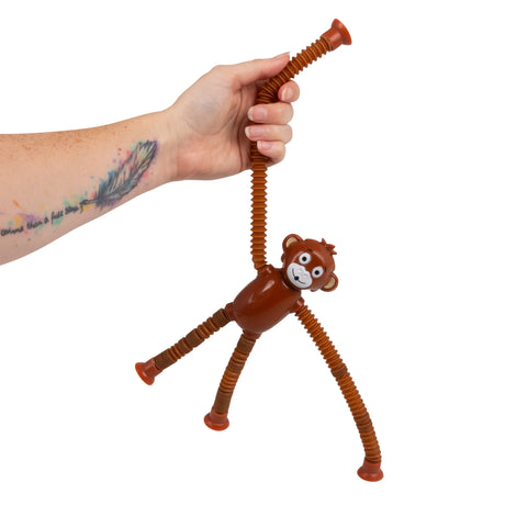 ANIMAL POP TUBE ASSORTMENT